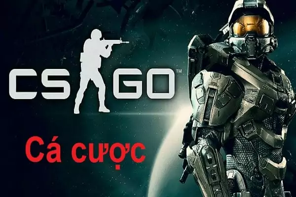 Bet CSGO là gì?