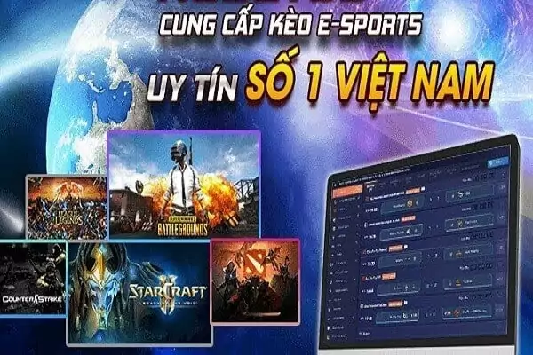 Những lựa chọn đặt cược phổ biến trong game esport