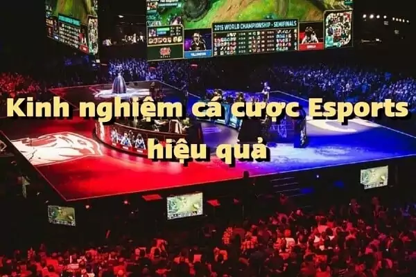 Kinh nghiệm cá cược esports hiệu quả tại nhà cái bsport