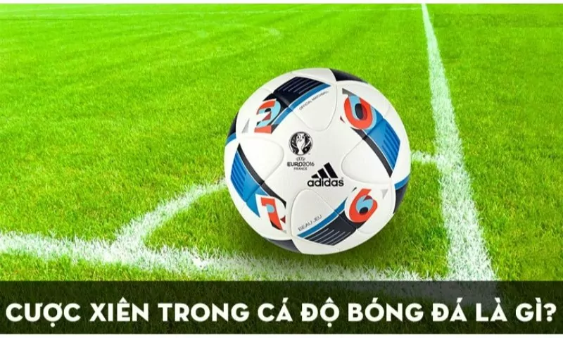 Cược xiên bóng đá là gì?