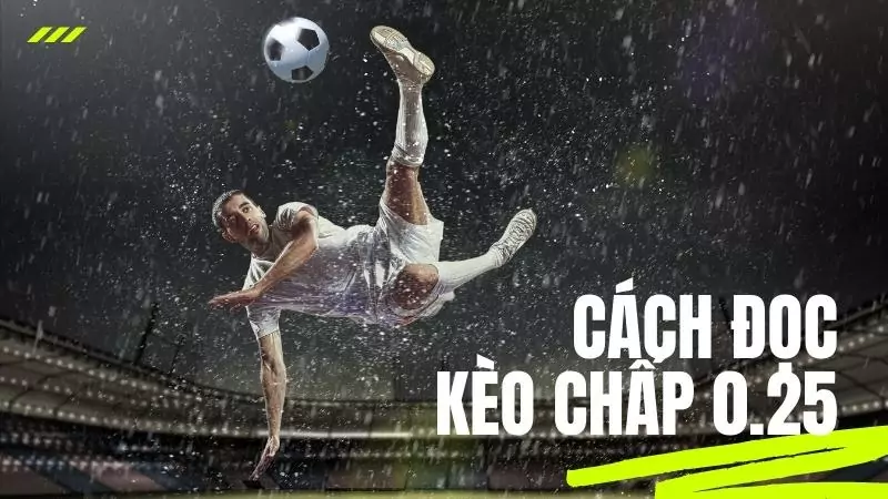 Cách tính tỷ lệ kèo chấp 0.25 dễ hiểu nhất