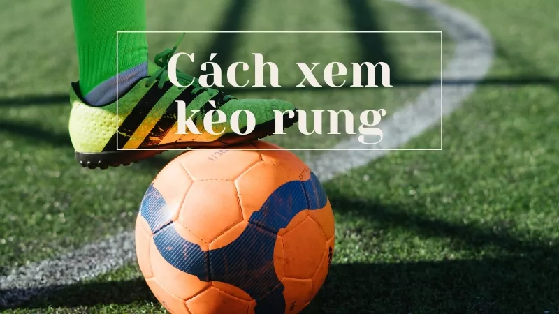 Cách xem kèo rung người chơi cần nắm bắt