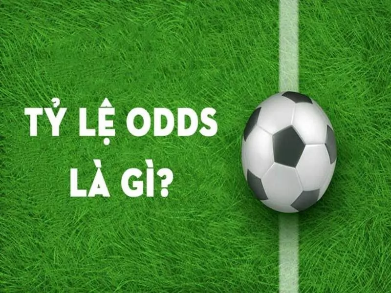 Odds là gì? Phân loại và cách soi kèo odds trong cá cược bóng đá