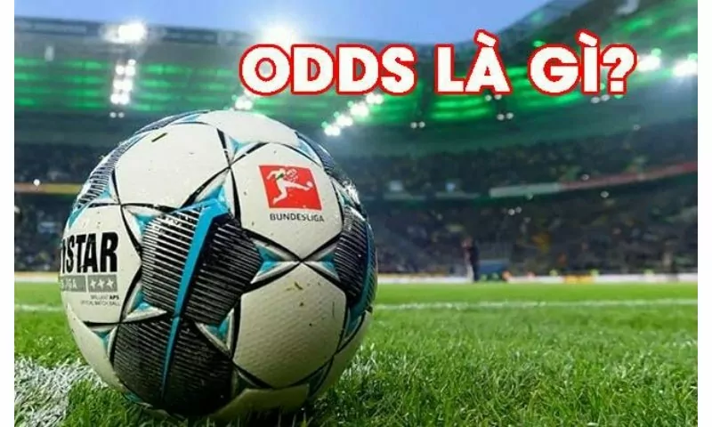 Tỷ lệ Odds là gì khi được rất nhiều người quan tâm