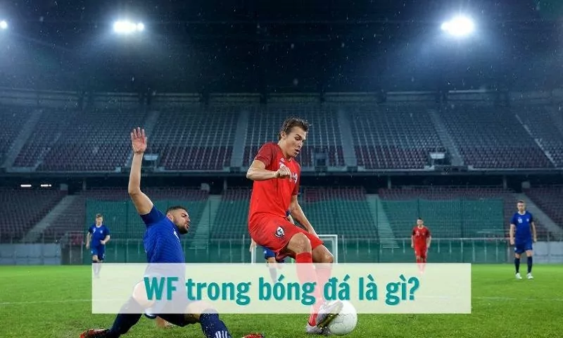 Giải đáp WF trong bóng đá là gì? Vai trò & Tố chất cần có