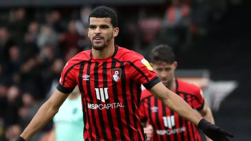 Dominic Solanke - 12 bàn thắng