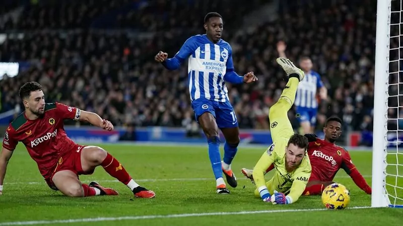 Nhận định soi kèo châu Á - Wolves vs Brighton